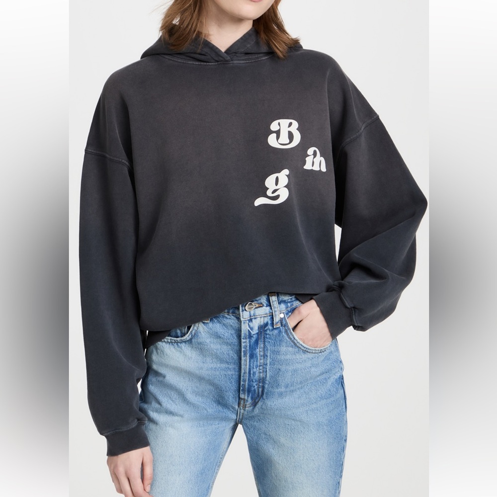 Anine bing sweatshirt